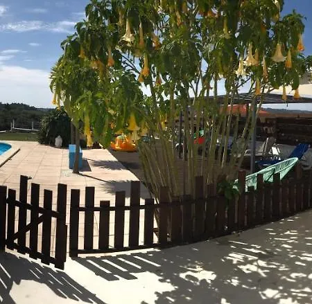 Casa O Futuro Alojamento de Acomodação e Pequeno-almoço Alcobaça