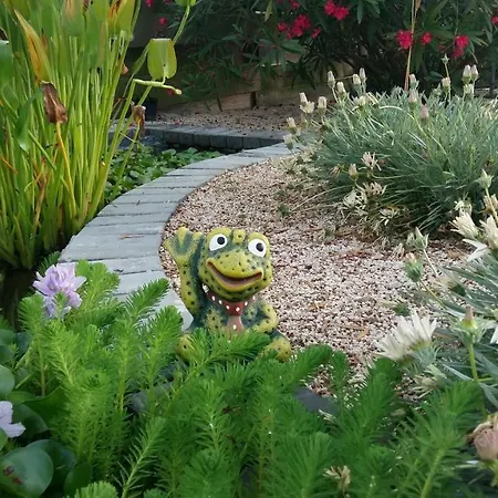 Casa O Futuro 4* 알코바카