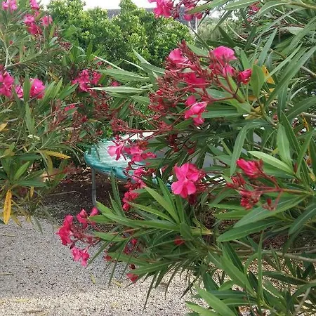 Casa O Futuro 알코바카