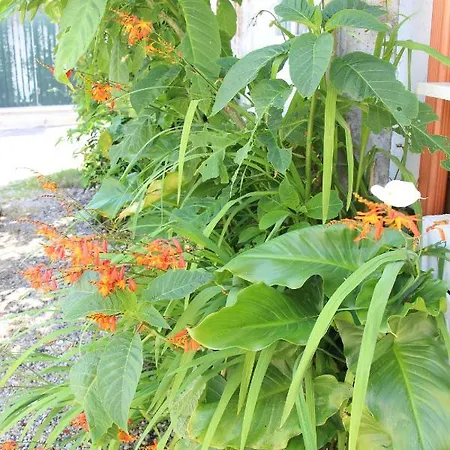 Casa O Futuro Alojamento de Acomodação e Pequeno-almoço Alcobaça