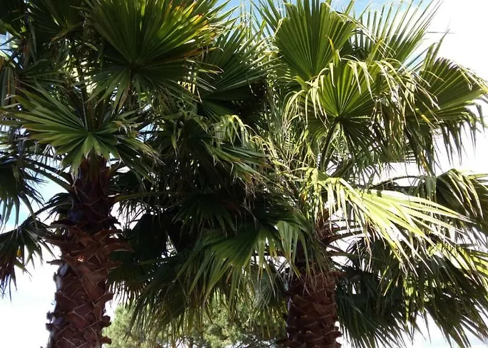 Casa O Futuro Отель типа 