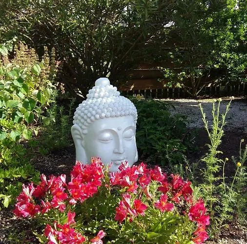 Casa O Futuro Алкобаса