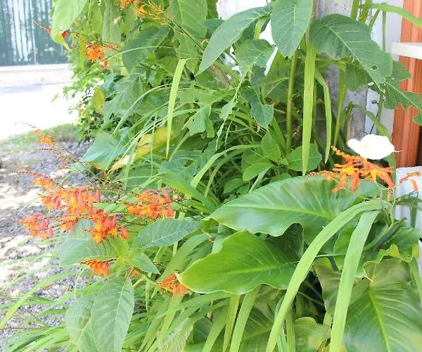 Casa O Futuro Отель типа 